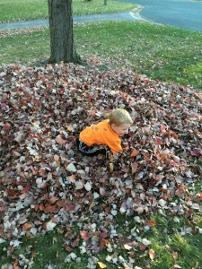 Brecken playing in the leaves