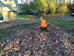 Brecken and Madiana playing in the leaves