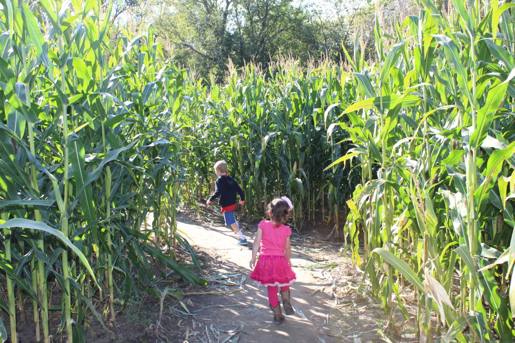 Brecken and Madiana trying to find their way out of the corn maze